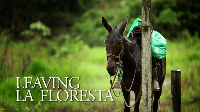 FILM: Leaving La Floresta
