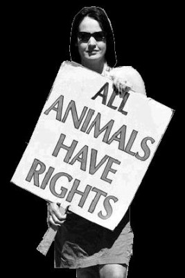 animal-rights-activist-terrorist