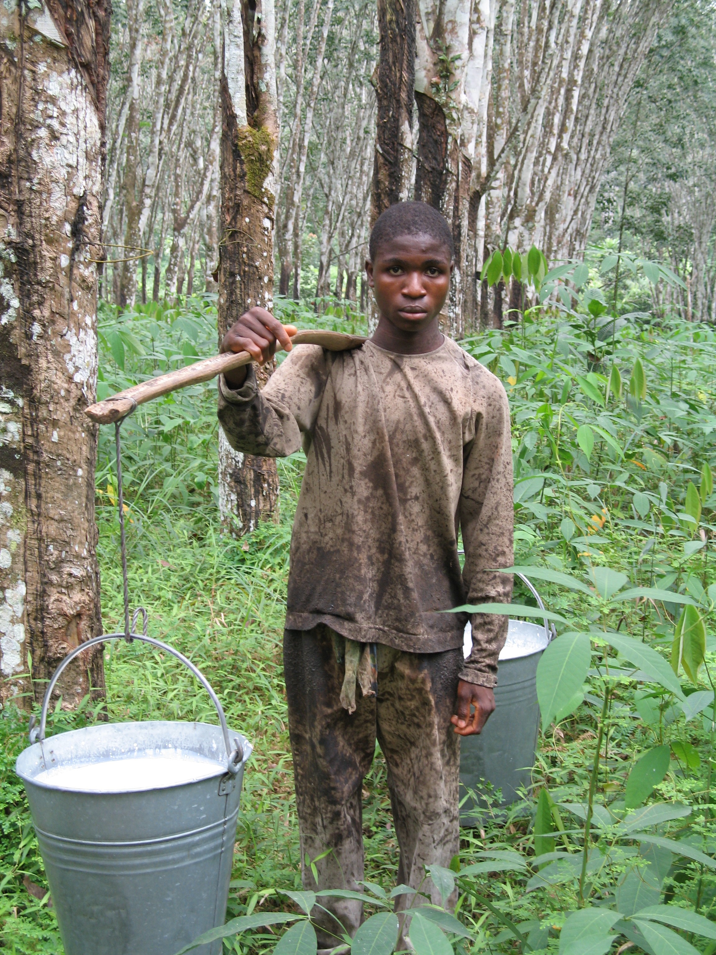 Liberia At the Crossroads: Extractive Industries, Land Grabs & Corporate Accountability