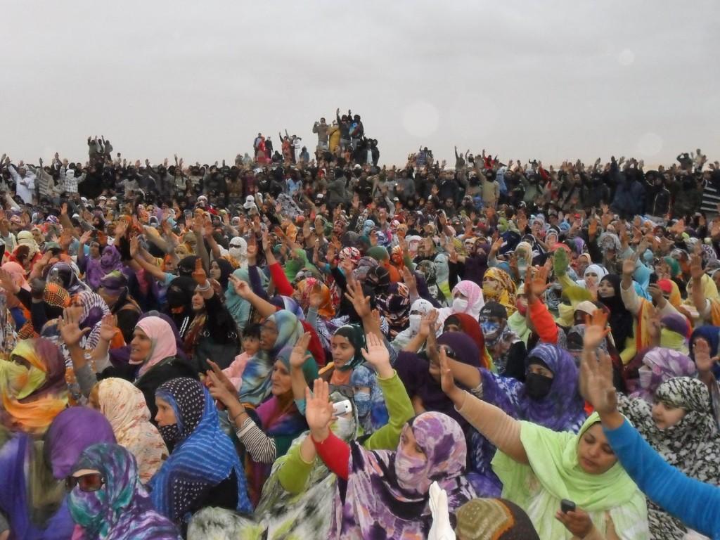 Echoes of Occupy in Western Sahara
