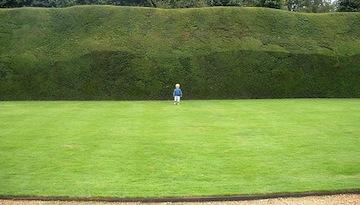 These Hedges Need Trimming