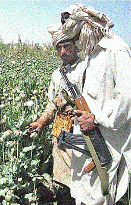 Taliban drug-dealing