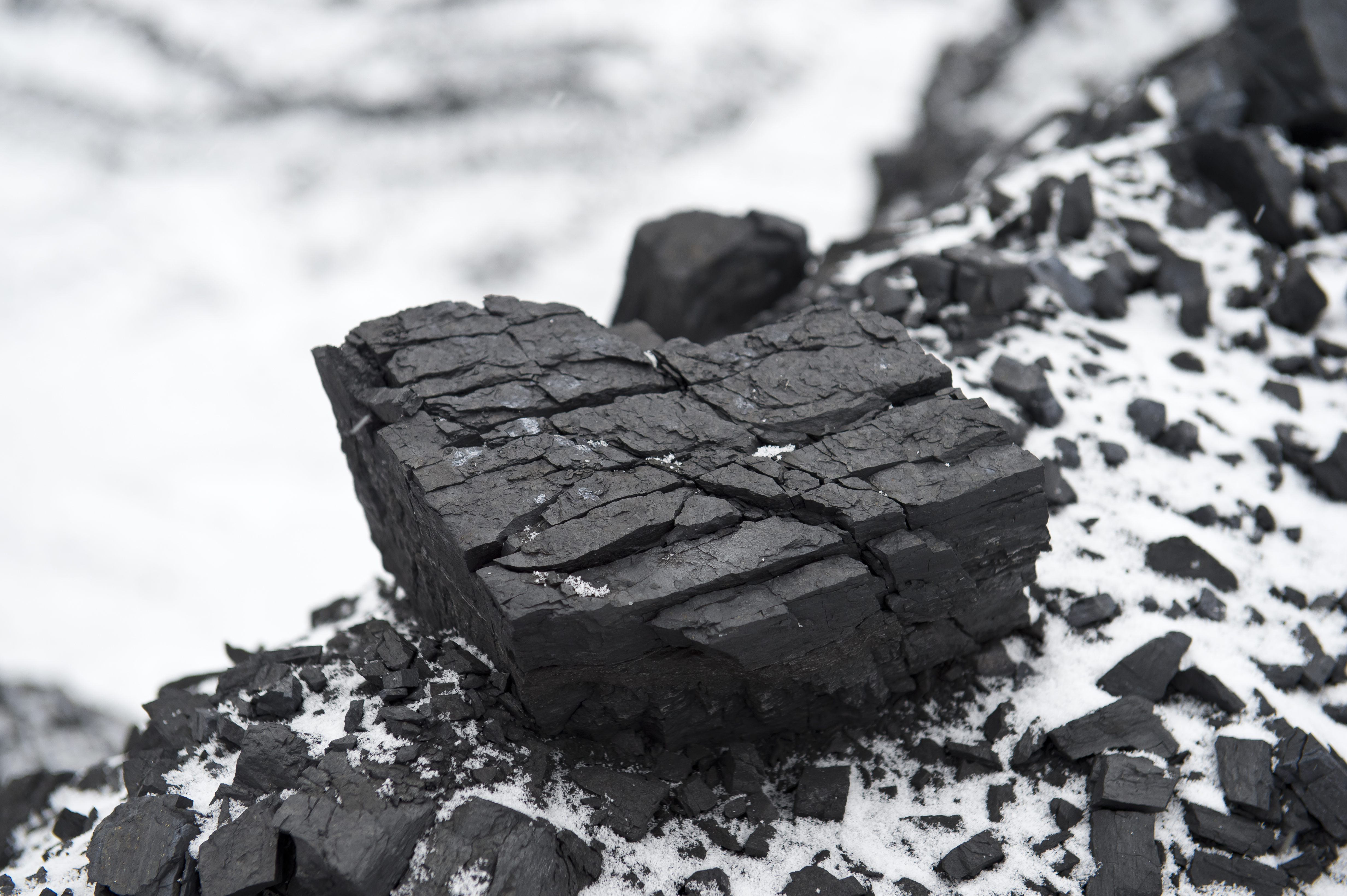 piece of coal detail