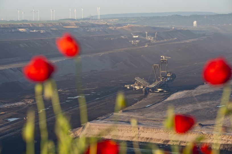 flowers overlooking a coal mine