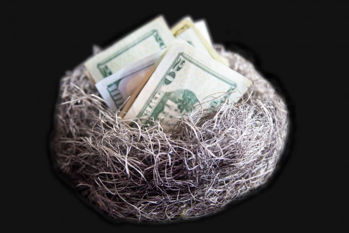 nest-egg-money