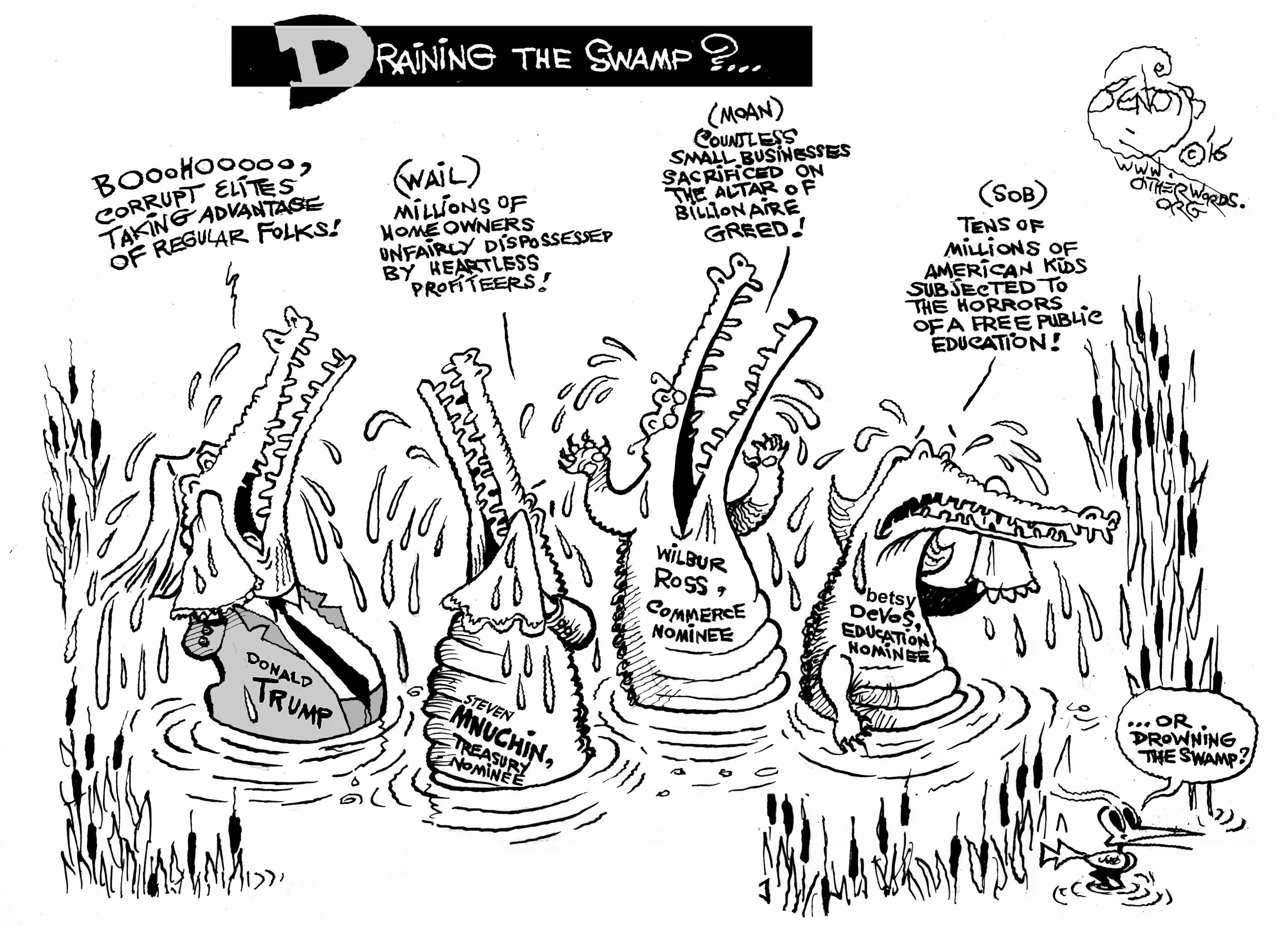 draining-the-swamp