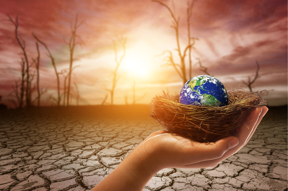 globe-nest-drought-hand-dystopia