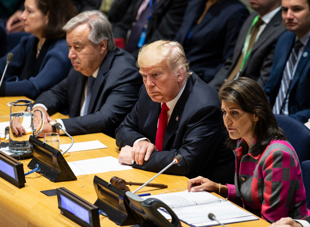 Phyllis Bennis on What We Can Expect From Trump-led Security Council Meeting