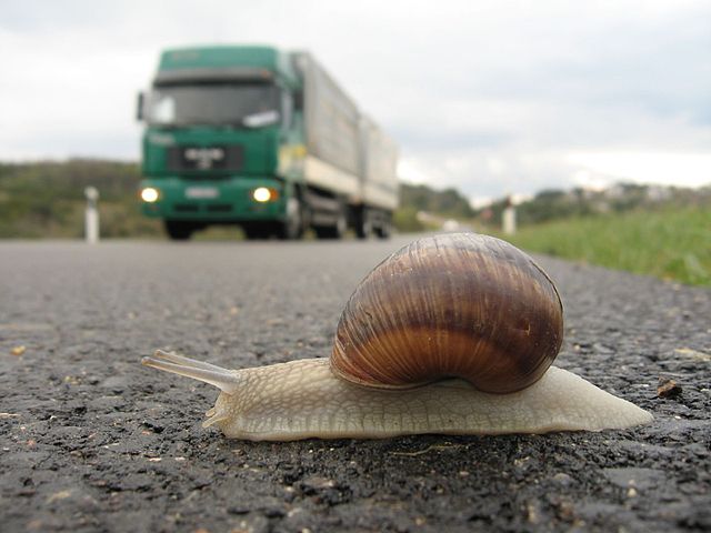 snail-truck-slow