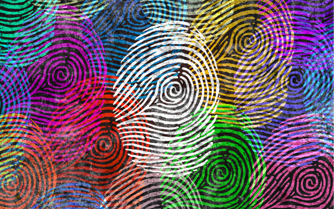 census-fingerprints