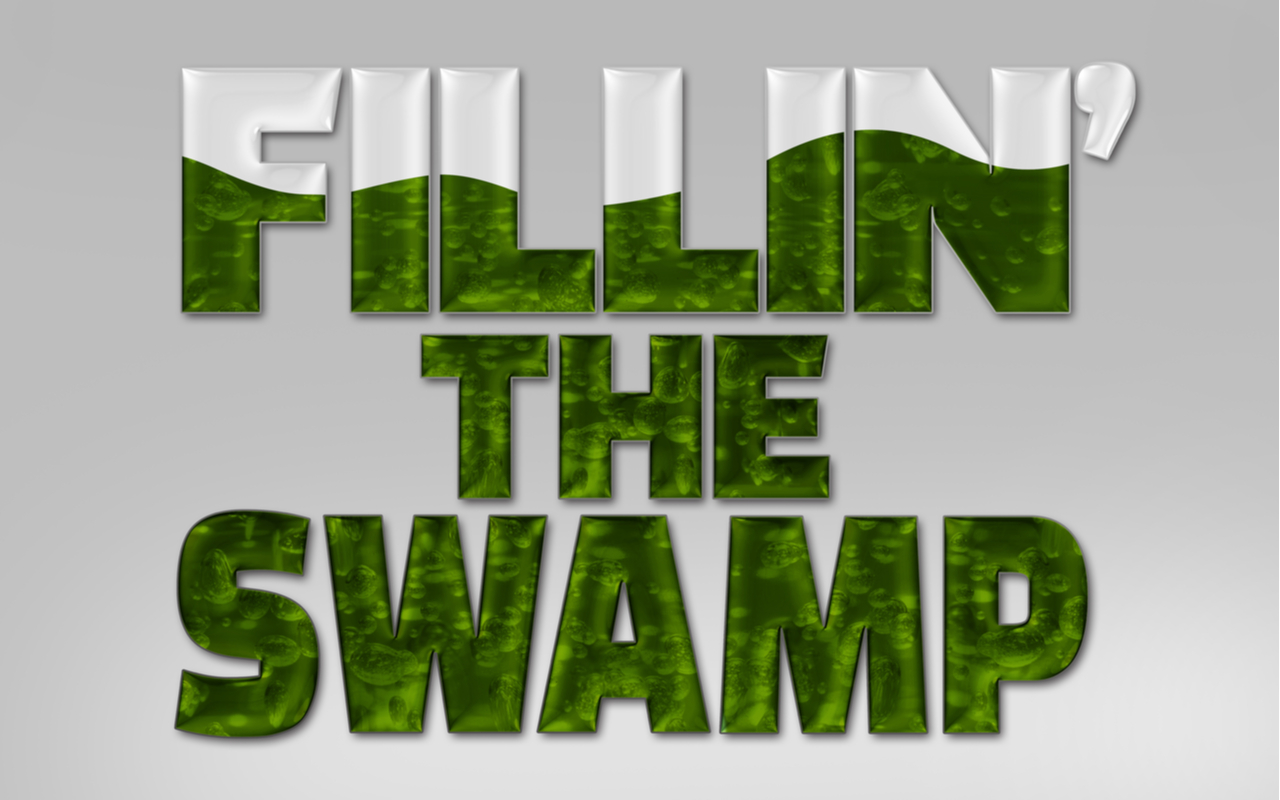 textual graphic that reads fillin' the swamp in reference to donald trump