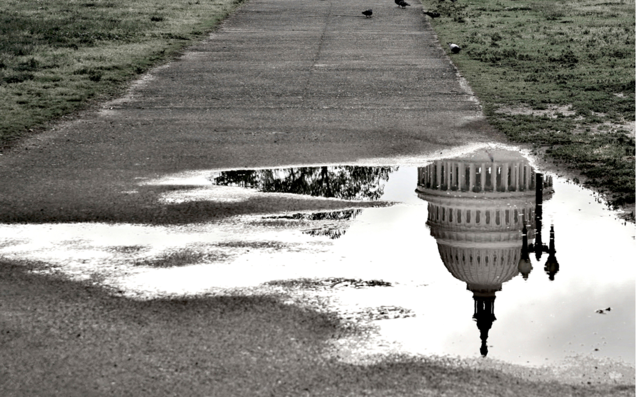 puddle of water showing the reflection of congress