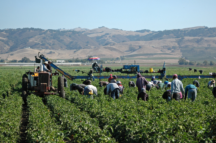 It’s Farmworker Awareness Week. Here’s What Those Who Feed Us Deserve.
