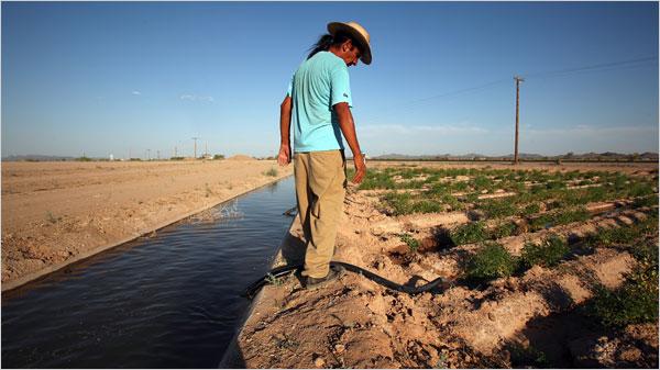 A man walking along the Navajo Irrigation Project