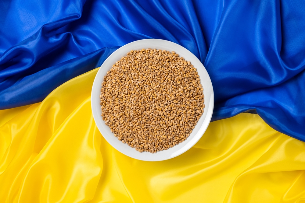 grain set on a ukrainian flag backdrop