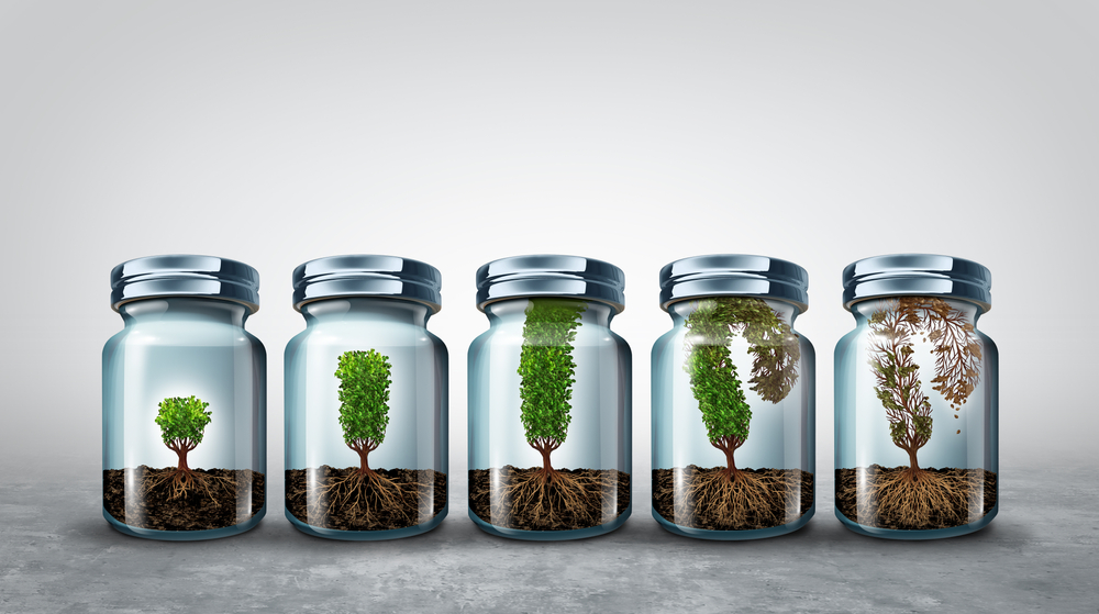 A small tree grows inside a jar until it reaches the lid and withers.