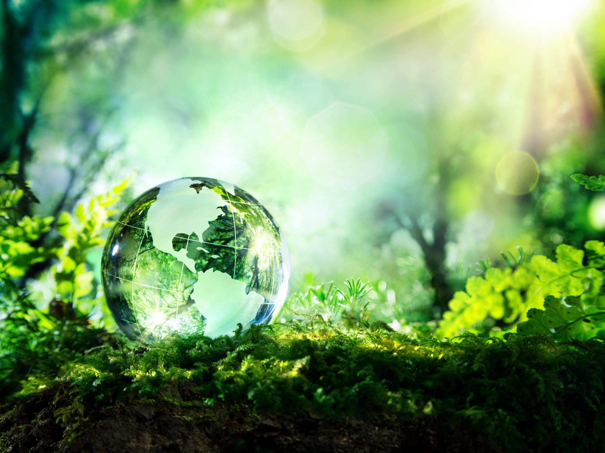 crystal globe resting on moss in a forest with sunlight shining light shining down.