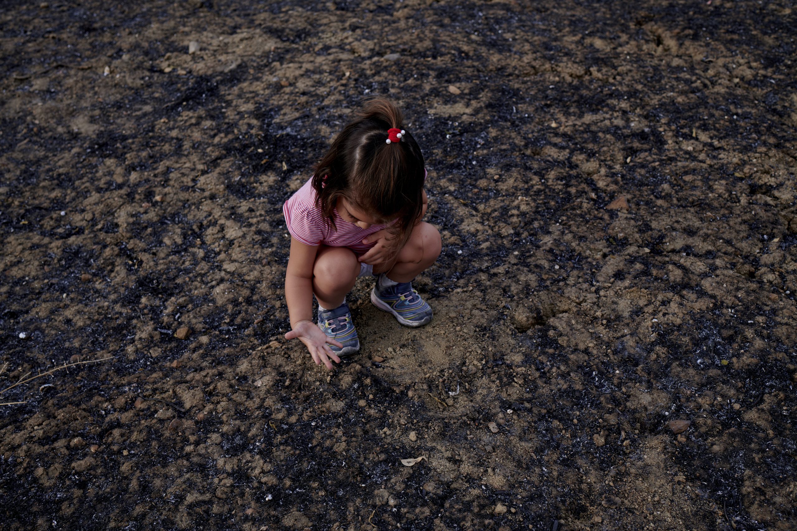 A little girl stands on the black ashes and looks at the forest after the fire.