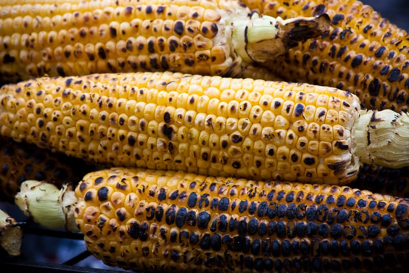 Mexico Must Stand up to Agribusiness Oligopolies on GM Corn Ban